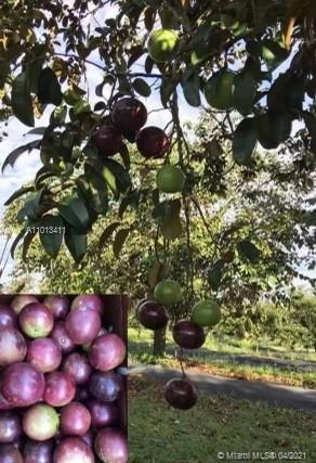 Redland RANCHOS DEL SOL - Residential