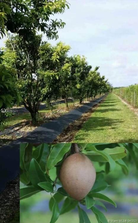 Redland RANCHOS DEL SOL - Residential