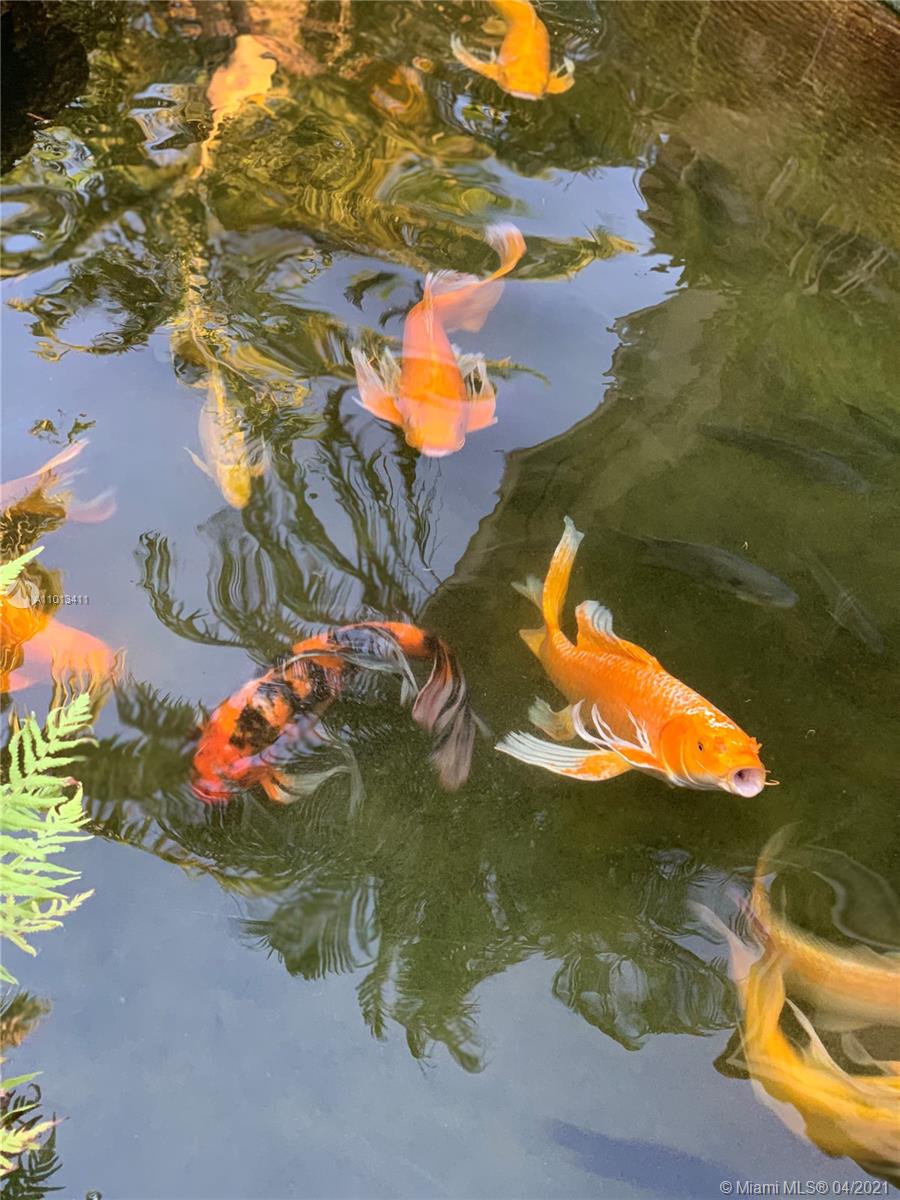 Redland RANCHOS DEL SOL - Residential