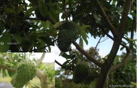 Redland RANCHOS DEL SOL - Residential