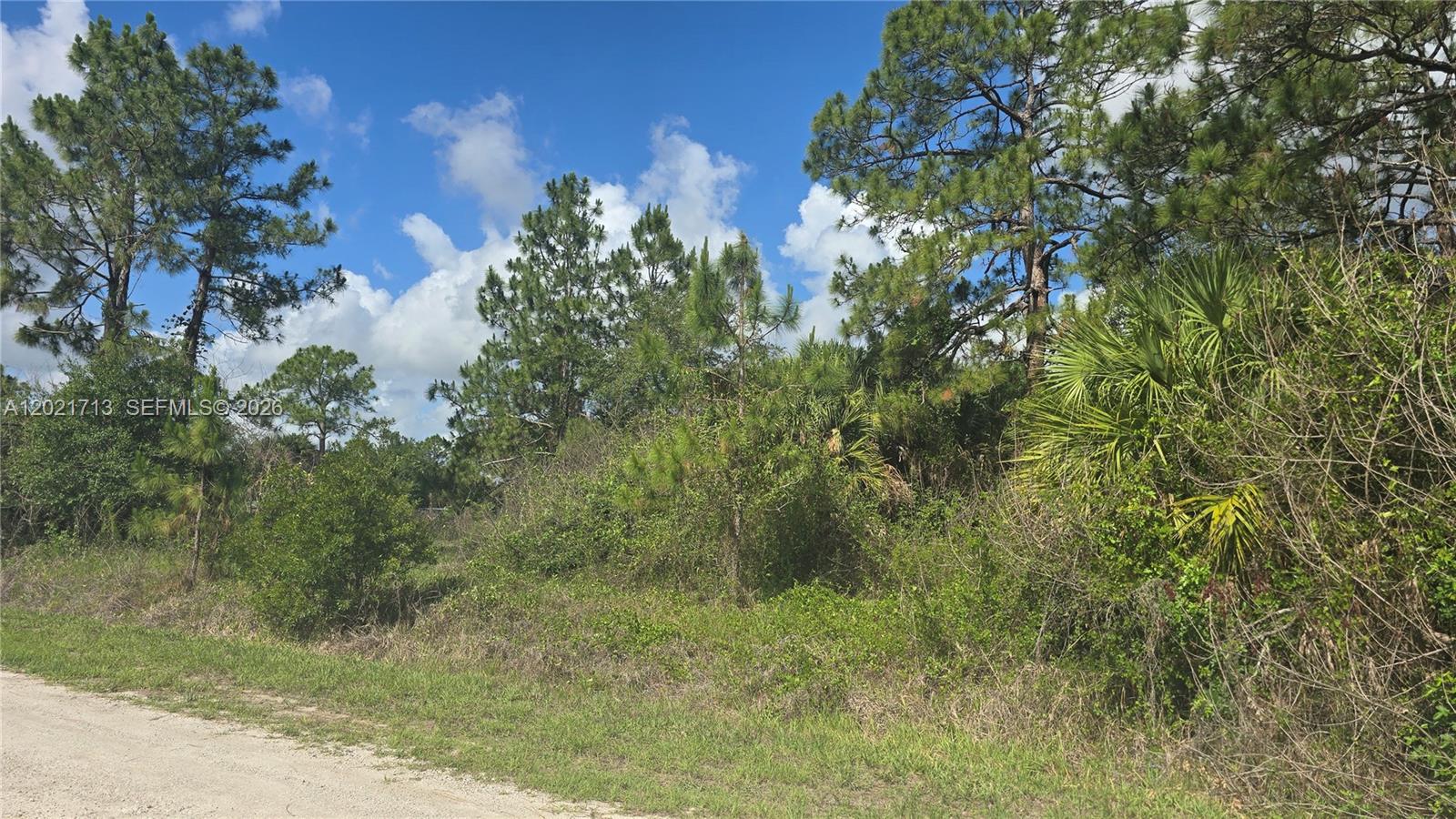 Montura Ranch - Land