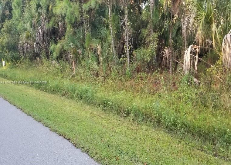 Build your dream home on this 10,000 sq ft lot in the growing community of North Port. Located in the First Addition to Port Charlotte subdivision, this south-facing lot offers paved road access and is zoned RSF2 for single-family use. Not located in a flood zone, according to the survey. Nearby homes, schools, shopping, and easy access to I-75. Recorded plat. Parcel ID: 0989-02-9331. 2024 taxes approx. $652. Buyer to verify all zoning, building, and utility details with Sarasota County. The survey is available.