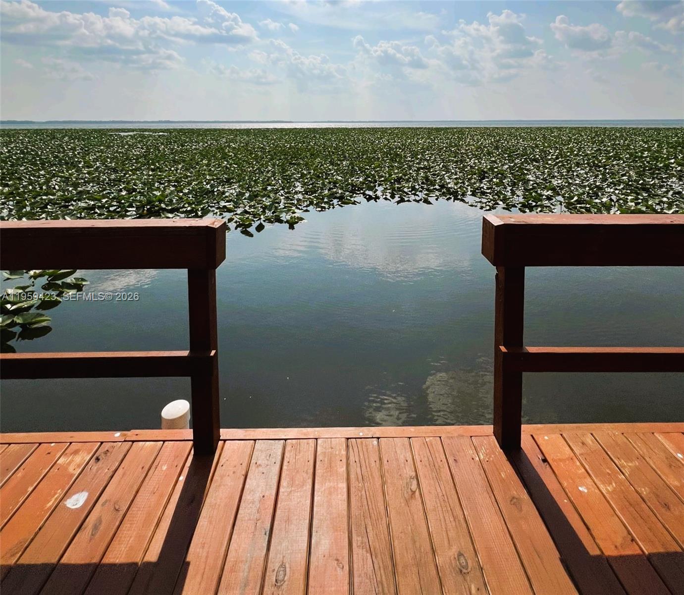 Lochloosa Lakefront - Residential