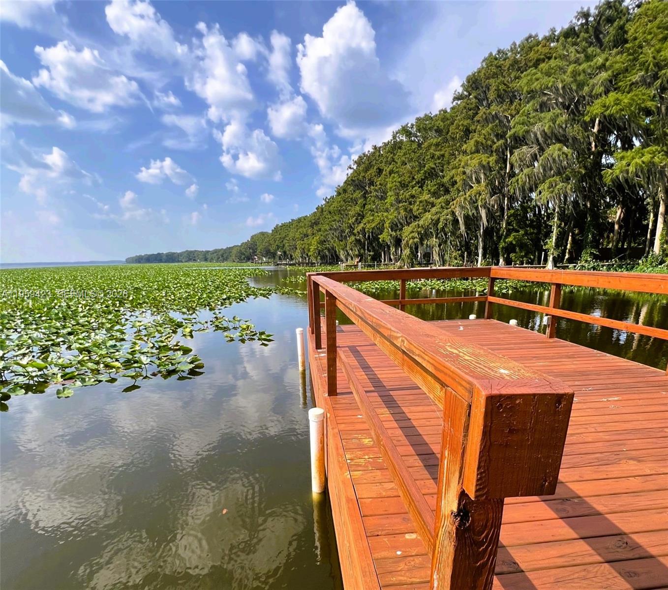 Lochloosa Lakefront - Residential