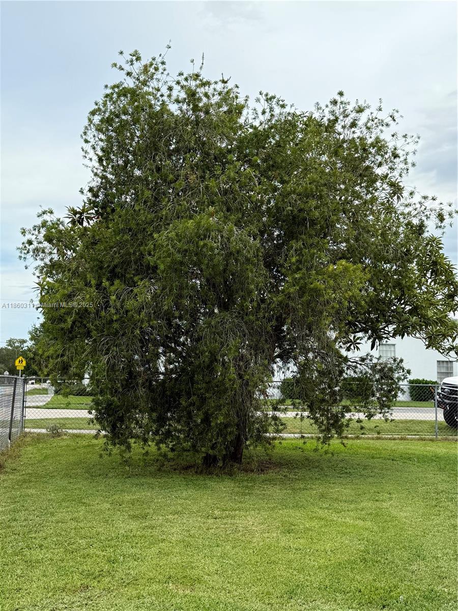 City of Moore Haven - Residential