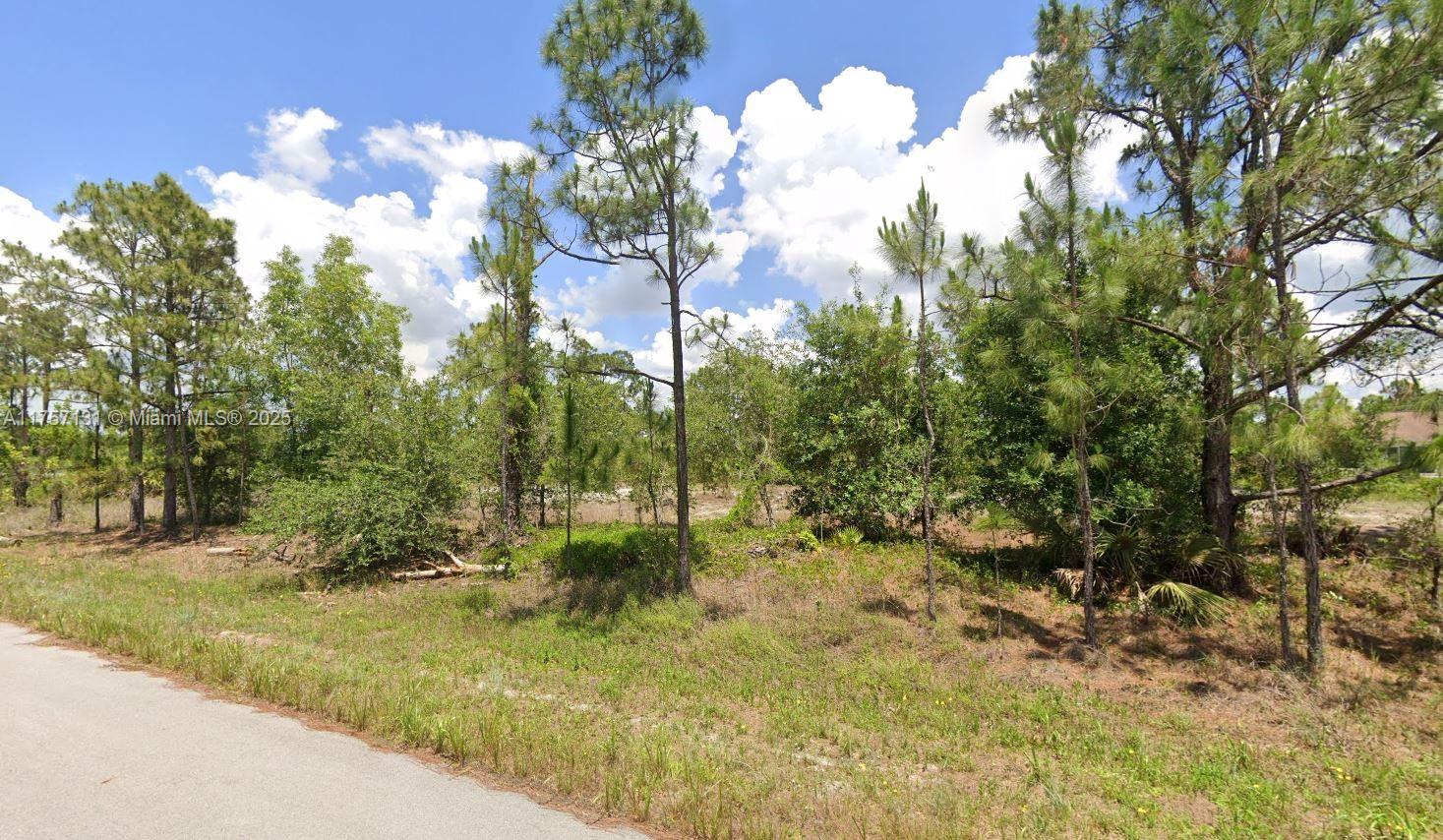 LOCATION, LOCATION !!! Couple of minutes north of SR-82 rapid access to Fort Myers, Fort Myers Airport (RSW), Estero Bonita Springs, Naples and the beaches. Close to schools, gas stations, supermarkets, banks and restaurants.
