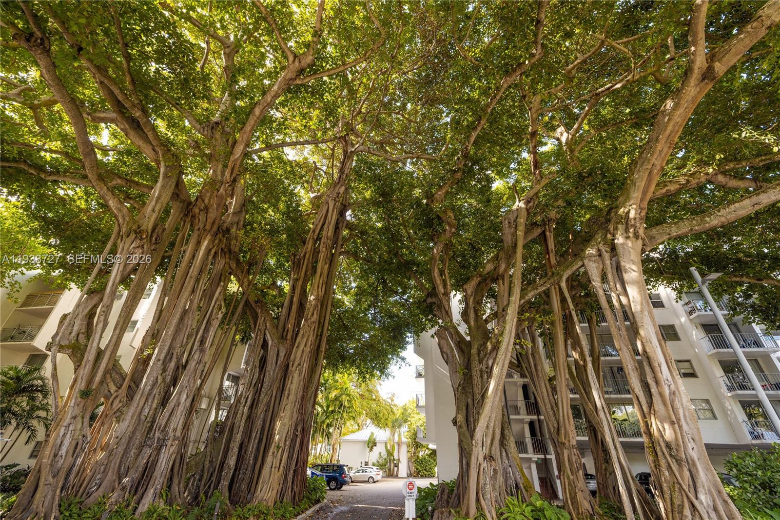 NIRVANA CONDO NO ONE COND - Residential