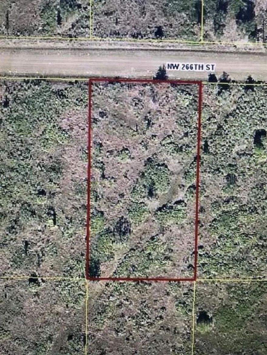 1.25-acre vacant lot in Okeechobee, perfect for building your dream home. This spacious property offers plenty of room for a house, garden, or outdoor space while enjoying the peaceful surroundings of rural Florida. A great opportunity for those looking for privacy, nature, and the freedom to build.