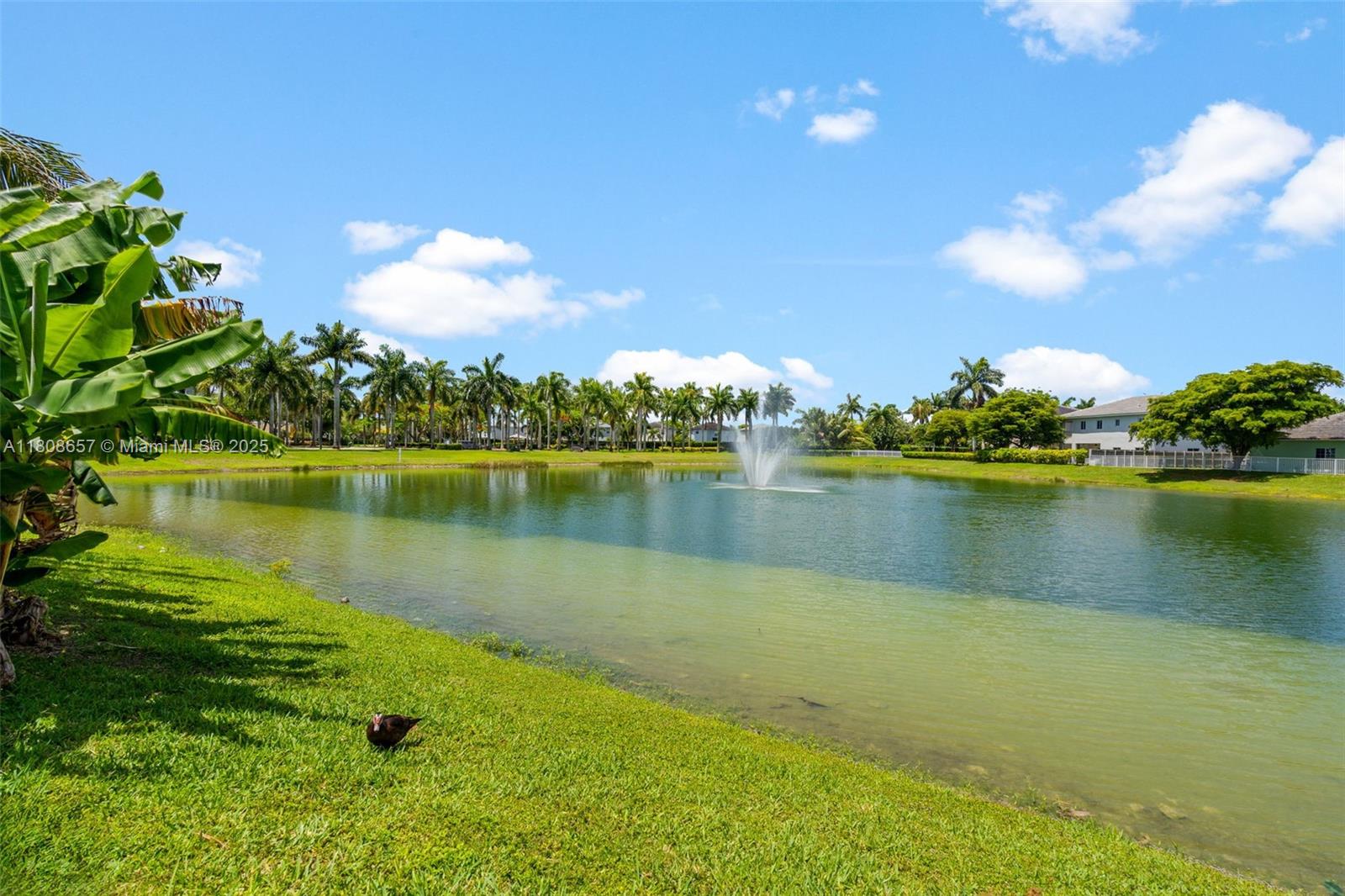 BIMINI AT THE OASIS - Residential