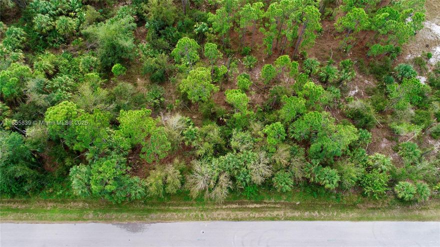 Residential vacant lot located in South Punta Gorda Heights! South Punta Gorda Heights is a developing neighborhood that can be accessed off of US 41 and Burnt Store Rd. Approximately 1.2MI to US 41 and 1MI to Burnt Store Rd. Property is heavily vegetated with mature deciduous trees and bushes. Power is approximately 300FT from property. Private well required as well as small waste water. No HOA or CDD fees. Recent survey available. This community has something for everyone.