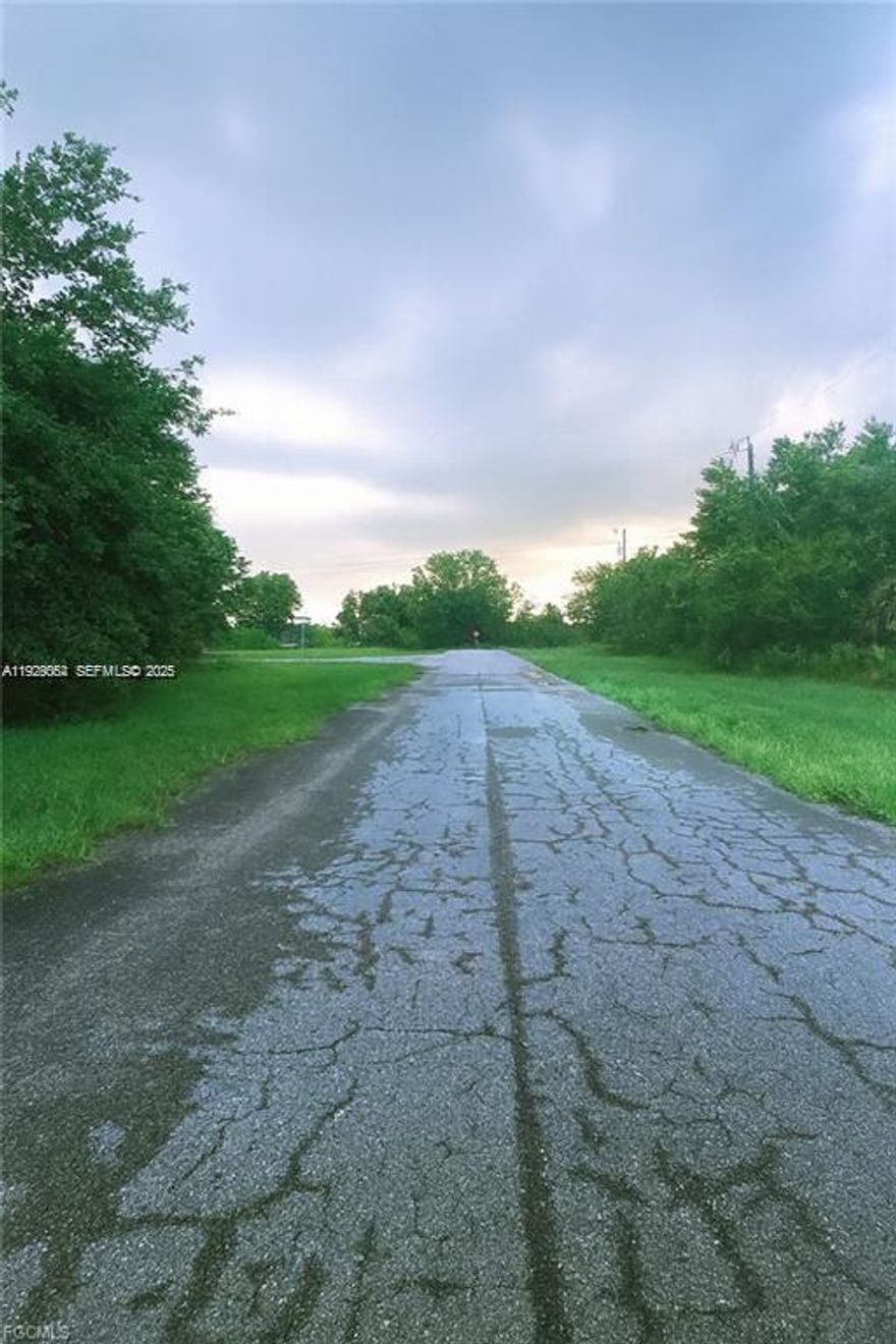 Discover the perfect slice of Southwest Florida, in Lehigh Acres, with this spacious .31 ac vacant lot on Grant Ave, nestled in a well-established and steadily growing neighborhood. Just one mile from nearby schools and parks. This site offers excellent investment potential. Ample buildable space, perfect for a custom home or future investment project. No HOA or restrictive covenants—enjoy the freedom to build your vision. Convenient access: within minutes of Hwy 82, Joel Blvd, I 75, Fort Myers, RSW airport, shopping, more. Act now to secure great value.