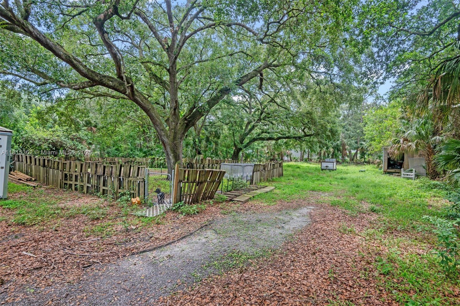 CANAVERAL GROVES REPLAT UN - Residential
