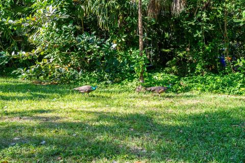 A home in Coconut Grove