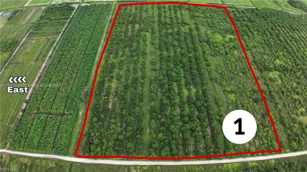 Gerber Groves - Land