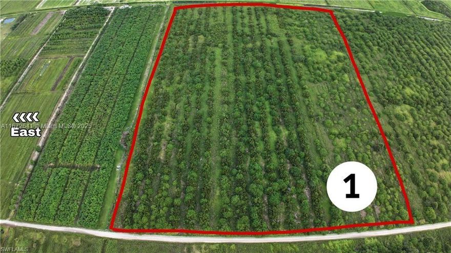 SELLER FINANCING WITH 25% DOWN AND LAND CLEARED BY SELLER ($50,000 VALUE) PRIOR TO CLOSING! This 40 +/- acre parcel of prime farmland is located in Hendry County’s Gerber Groves Water District. These tracts all face north. Gerber Groves Water District collects fees with property taxes and these fees go towards maintaining the farming community: roads, canals and water district pumps. Gerber Groves is located south of LaBelle and north of Felda and Immokalee and is a popular farming area mixed with agricultural offices, packing houses and homes. It is in close proximity to State Highway 29 and in a central location for moving all varieties of crops. Why Gerber Groves? Don’t miss this rare opportunity to secure high-quality farmland with flexible financing and additional perks.