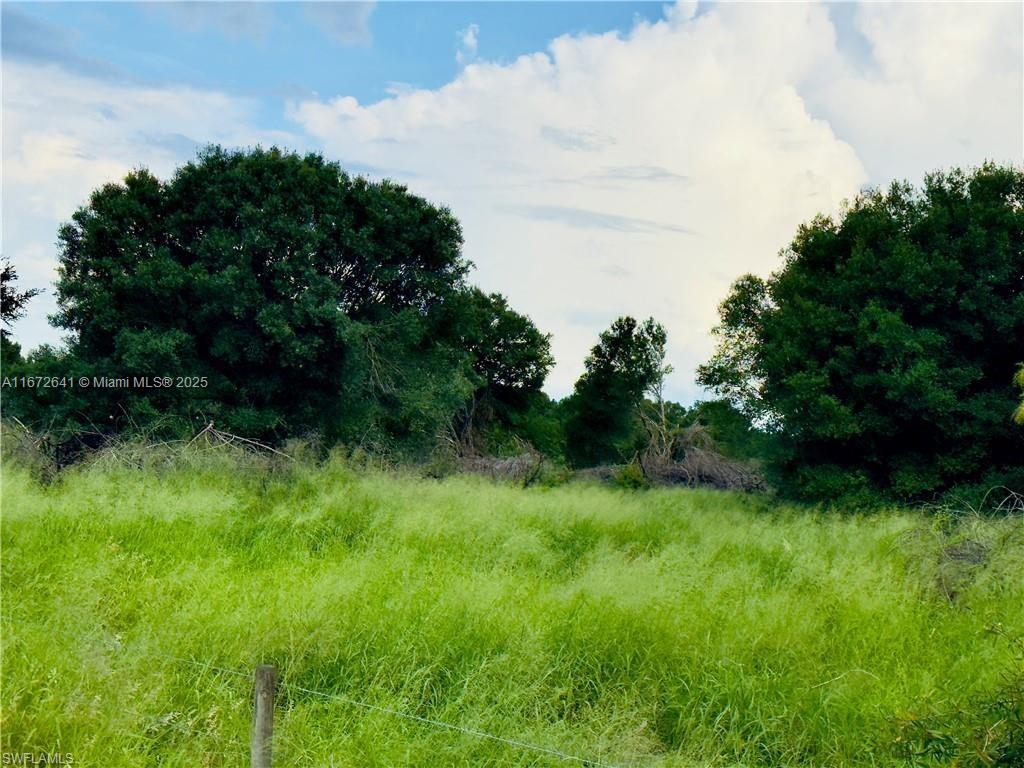 Gerber Groves - Land