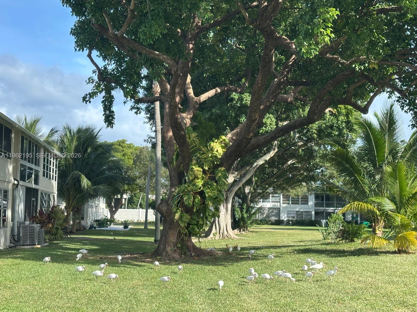 CENTURY VILLAGE - Residential