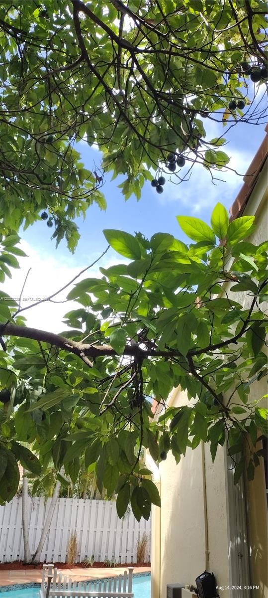 VERONA - Residential