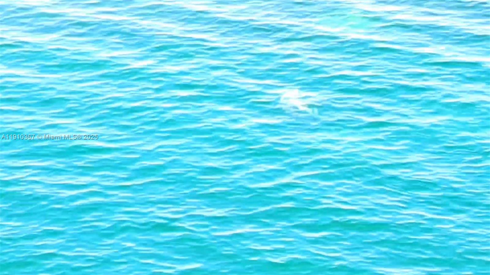 BAYVIEW CONDO AT NORTH BA - Residential Lease