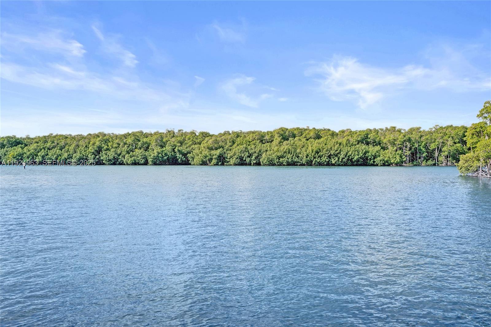 POINCIANA IS YT & RCQ CLU - Residential