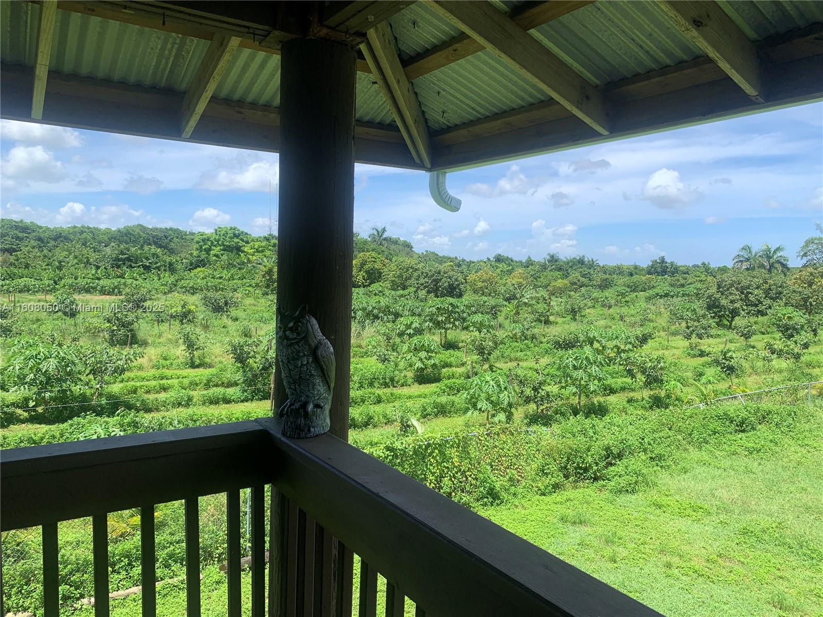 REDLAND CITRUS ORCHARDS S - Land