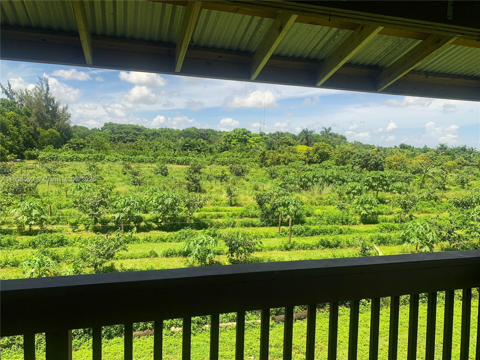 REDLAND CITRUS ORCHARDS S - Land