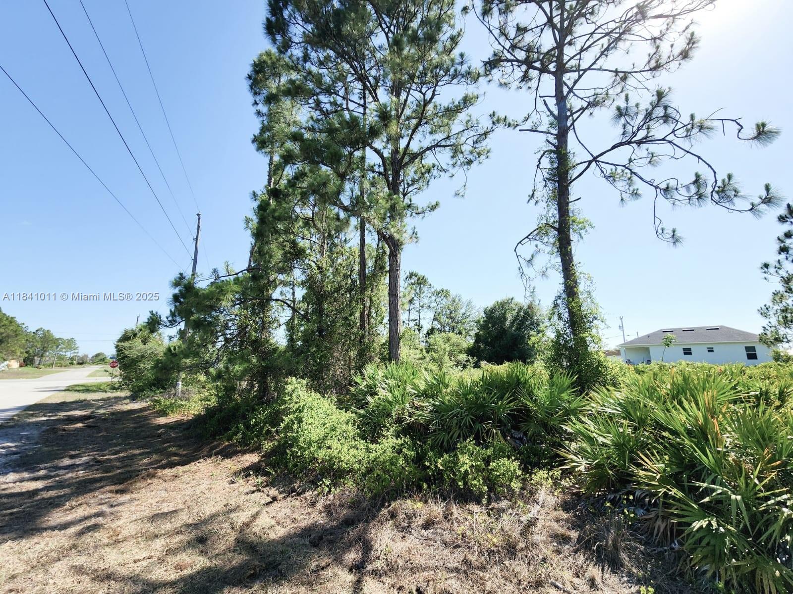 Great location and opportunity to built your next home or just long term investment.This 10,000 + SqFt lot is ready to be cleared for development in the beautiful and growing community of Lehigh Acress, Florida.