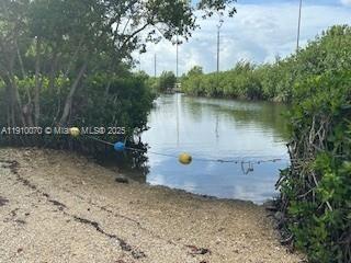 MANATEE BAY CLUB - Land