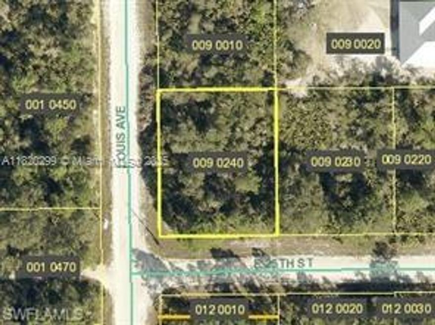 Discover the perfect canvas for your dream home on this expansive 0.28+/- acre corner lot, ideally situated near the intersection of Joel Boulevard and Palm Beach Boulevard in Alva, Florida. This prime location offers both tranquility and convenience, with easy access to local amenities and major roadways. The generous size and corner positioning provide ample space and design flexibility, making it an excellent investment opportunity in a rapidly developing area. Don't miss the chance to secure a piece of Alva's promising future.