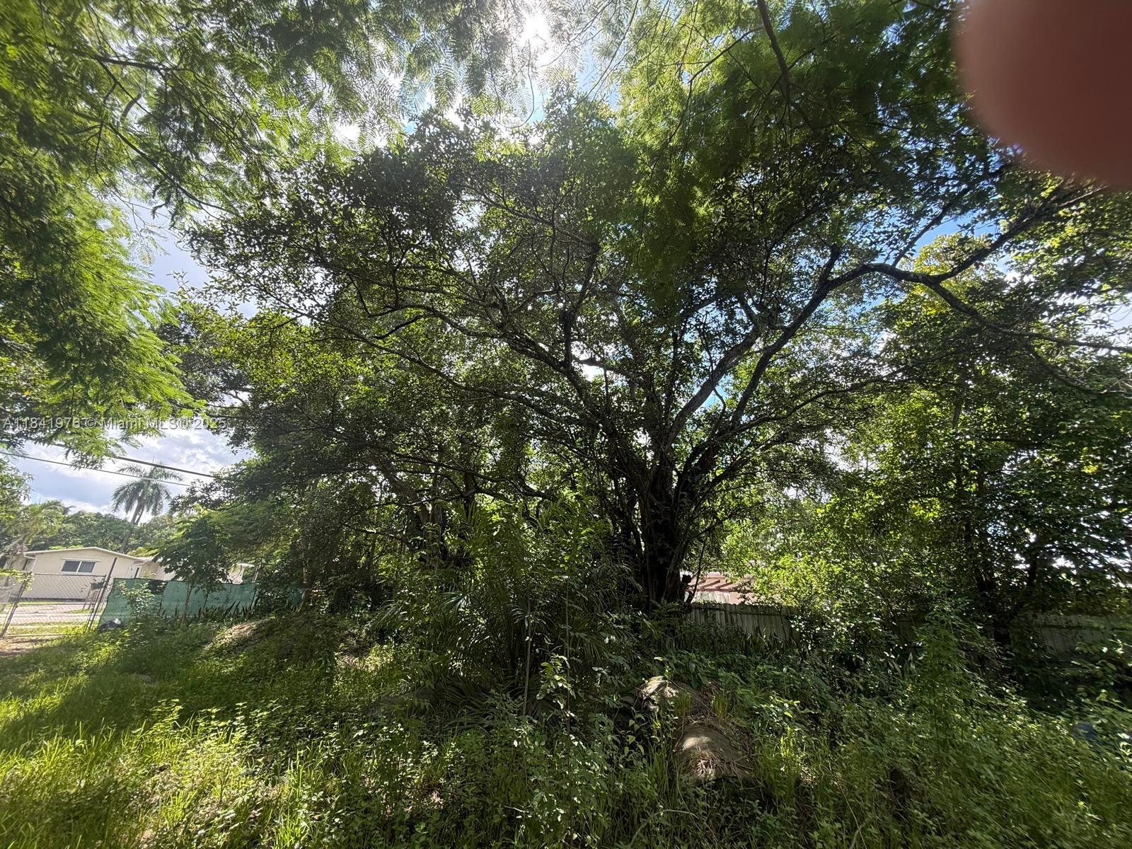 View photos, virtual tours, details... 835 NE 149 ST