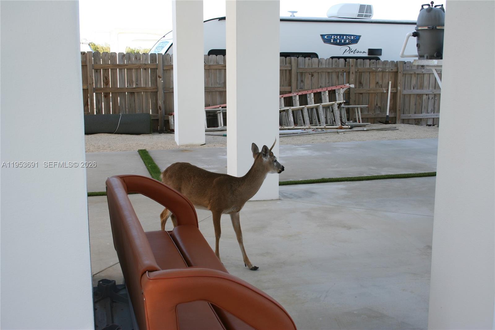 TROPICAL BAY - Residential
