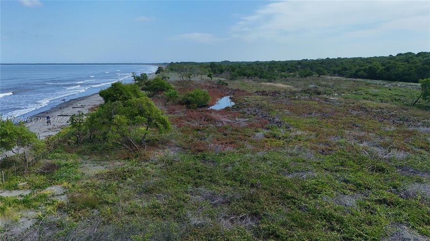 Playa Venado in San Bernardo del Viento
Located in the Department of Córdoba, Colombia (Northern coast of the country, facing the Caribbean Sea)
A Paradise of Untouched Beaches, Soft sands and calm waves, Ideal for nature lovers and ecotourism. Popular destination for birdwatching and surfing. Climate Average temperatures: 15°C to 21°C (59°F to 70°F).
Ideal for tourism, resort development, or eco-projects. Direct access to the Caribbean Sea
Topographic Survey: Close to 20 acres of raw land ( 79,293 m² ? 853,612 ft²)
Beachfront Length: 338.19 meters ? 1,109.3 feet