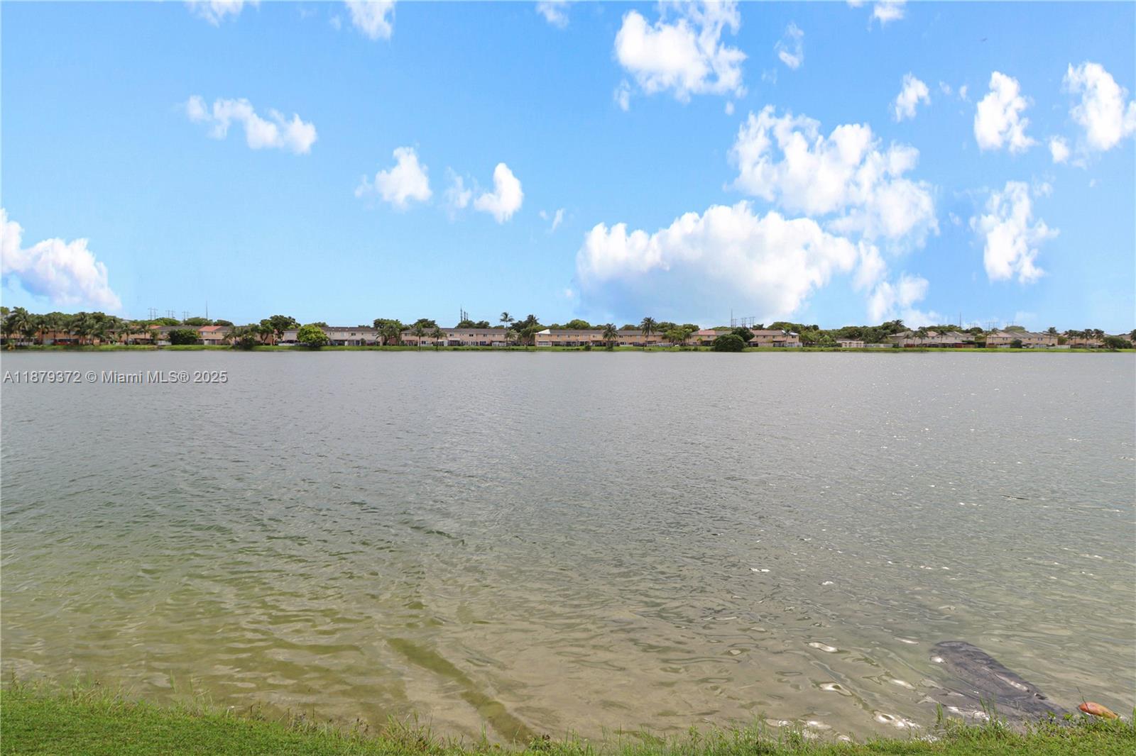 WEITZER SERENA LAKES TOWN - Residential