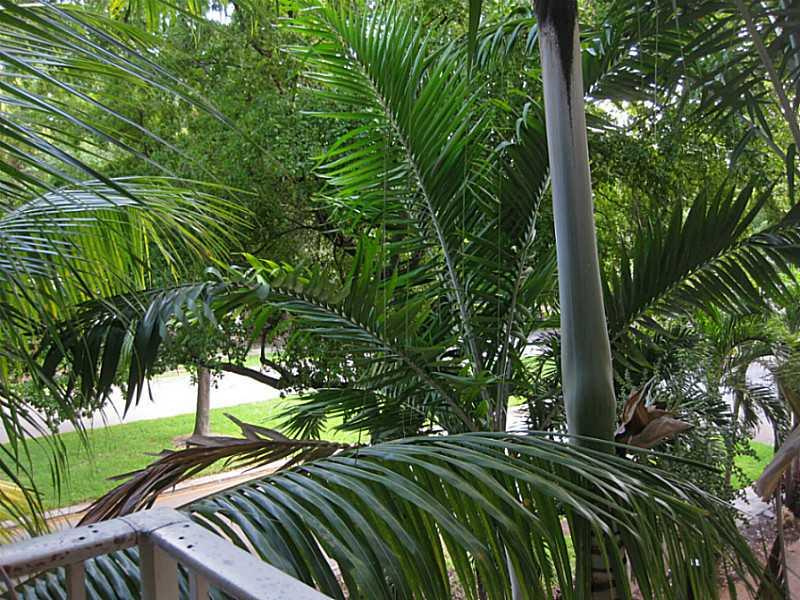 BAYVIEW PALMS CONDO - Residential Lease