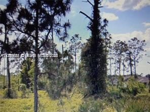 Big space to build your house. Do not miss this opportunity. Will not last long.