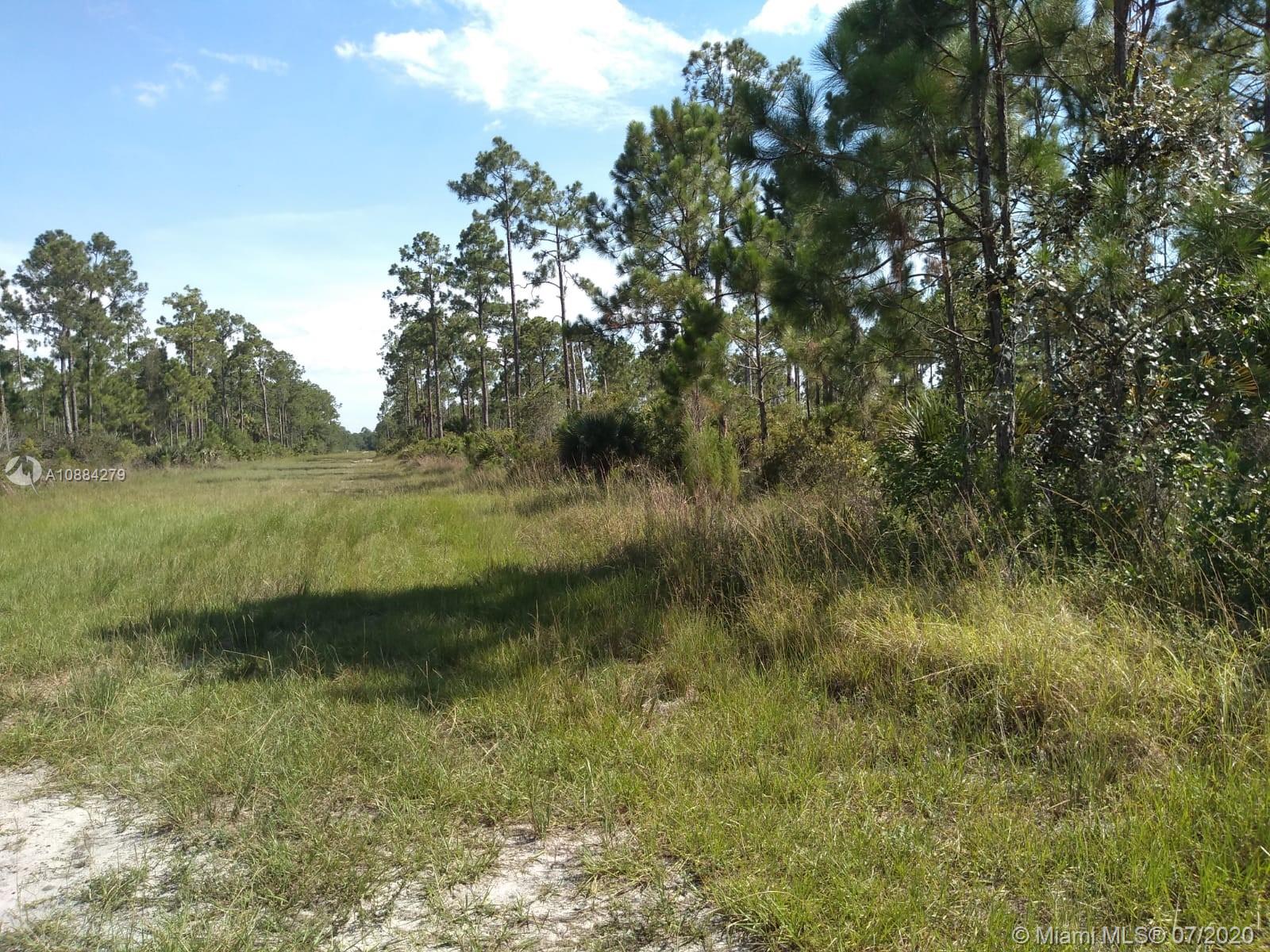 Pioneer Plantation - Land