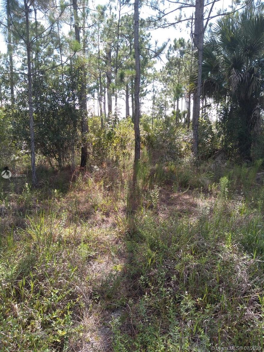 2.5 ACRES OF UNDEVELOPED VACANT LAND, GREAT FOR INVESTORS AND DEVELOPERS IN A VERY DESIRABLE AREA FOR POTENTIAL FUTURE DEVELOPMENT. This 2.5 ACRES LOT IS READY TO BE BUILT!!
This land is a rural so bring your horses.