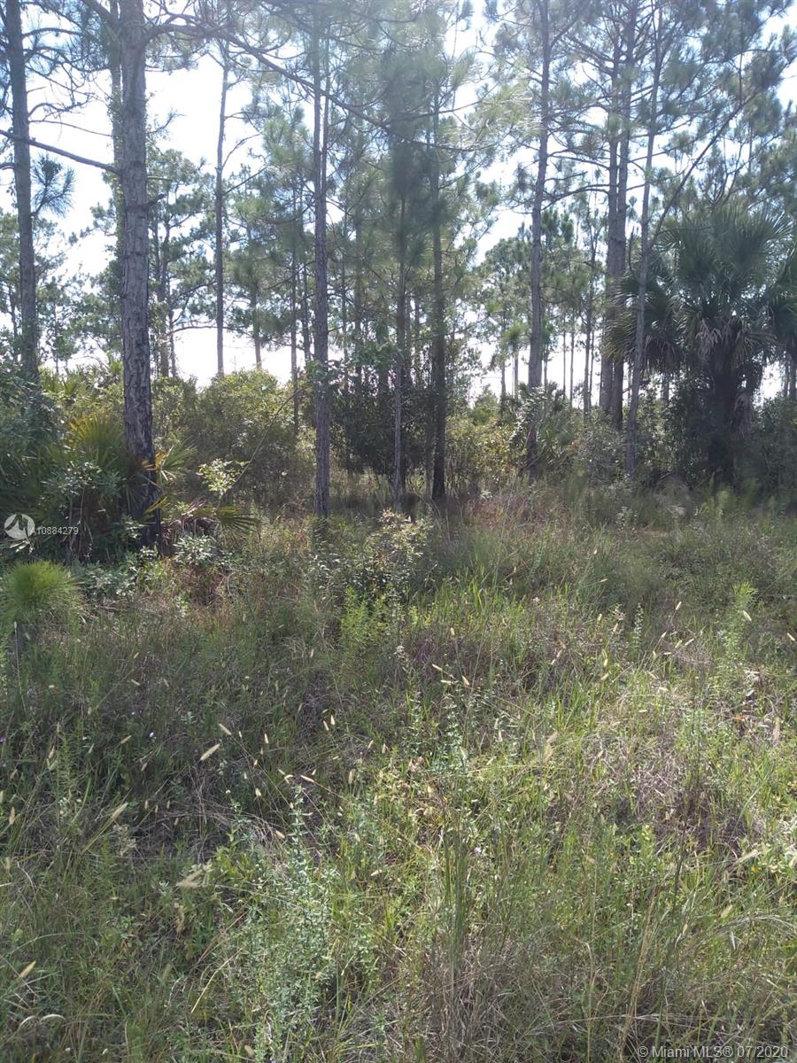 Pioneer Plantation - Land