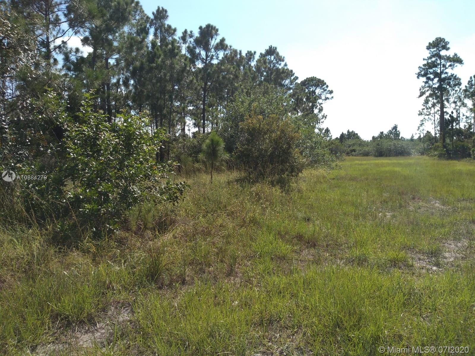 Pioneer Plantation - Land