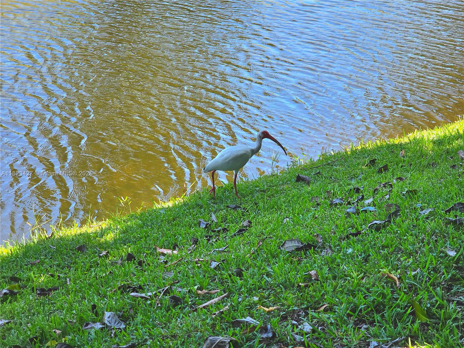 PALM BEACH LEISUREVILLE S - Residential