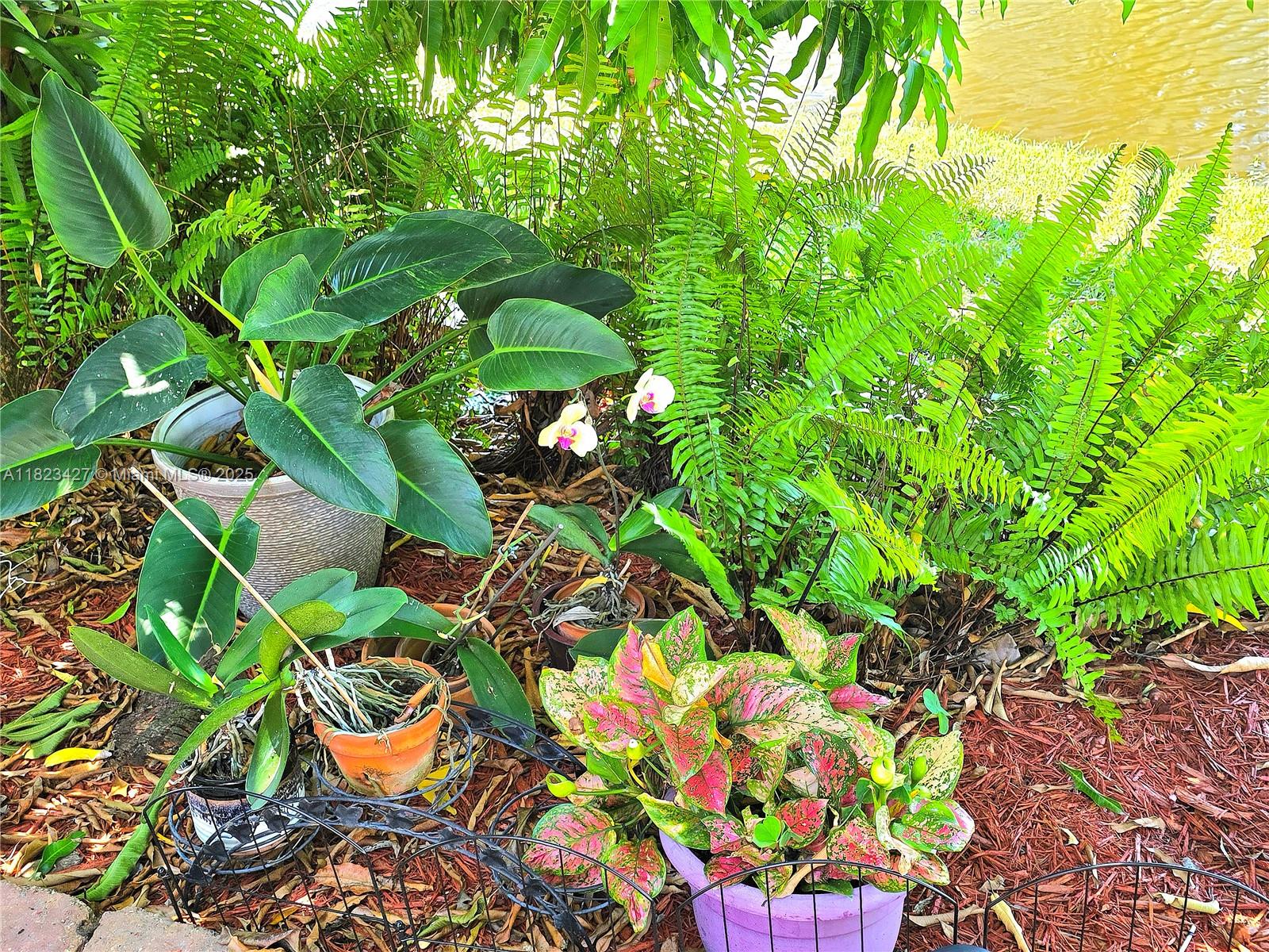 PALM BEACH LEISUREVILLE S - Residential