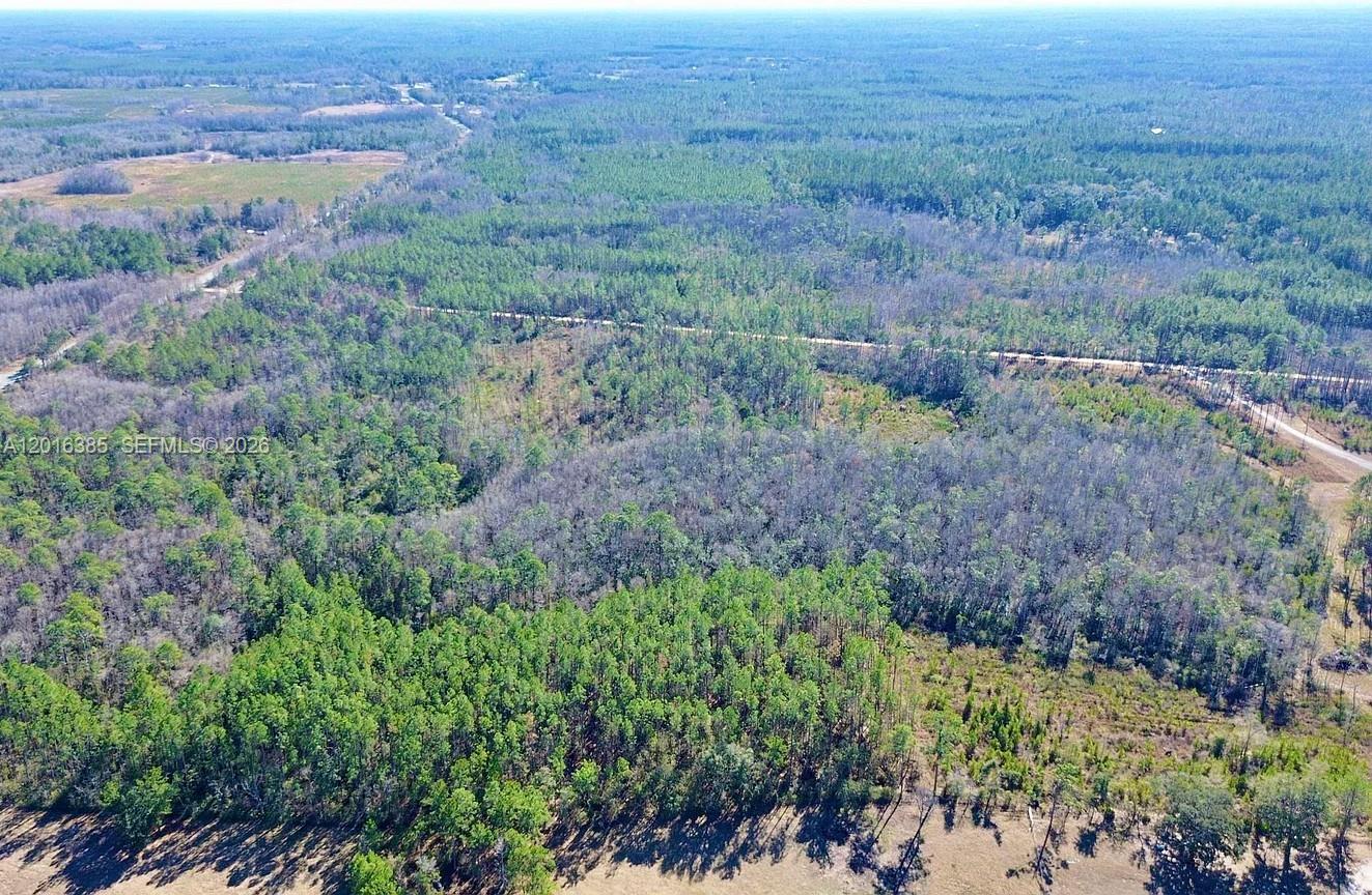 Aucilla Plantation - Land