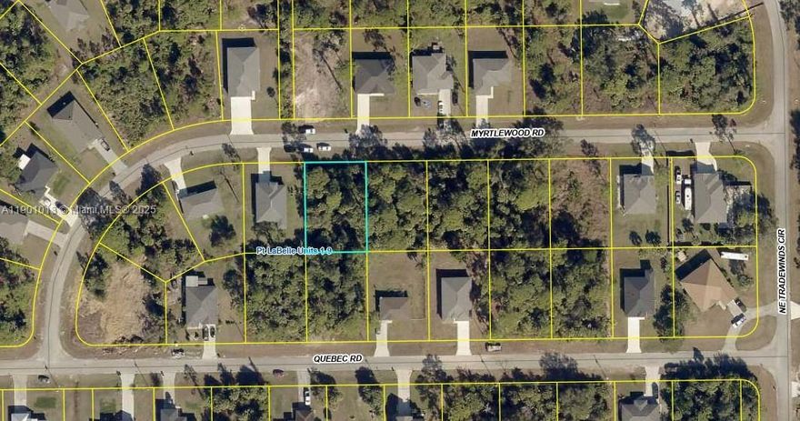 Great location, in a growing area of new homes! With city water, NOT IN A FLOOD ZONE and near schools including Florida Southwestern State College, this is the perfect location for your new home!