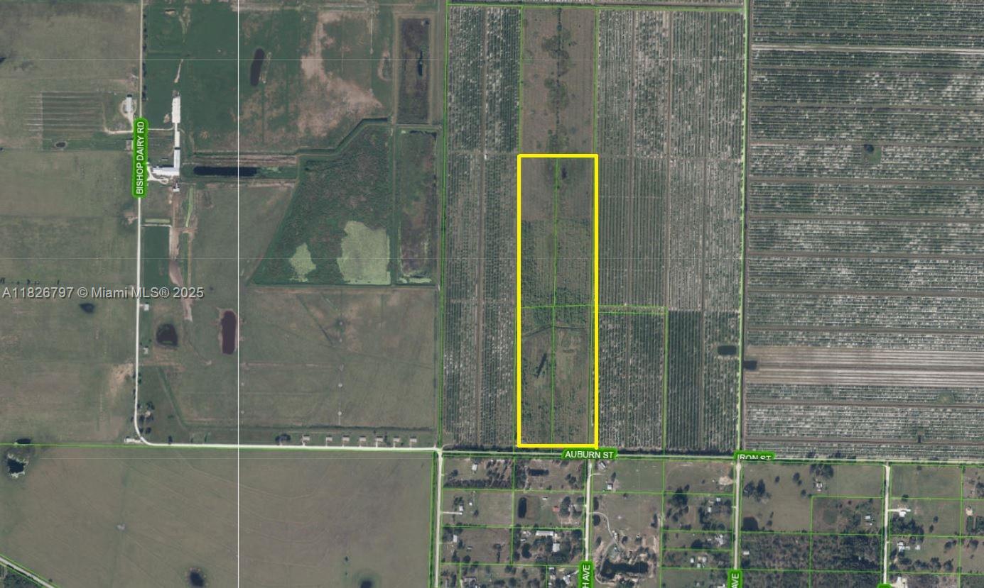 40 ACRE LOT ZONED AU WHICH ALLOWS FOR FARMING, GROVES, HORSES, CATTLE, CLOSE TO RECREATION AREAS FOR FISHING, BOATING AND HUNTING, HORSEBACK RIDING. THE PROPERTY IS CLOSE TO SEBRING AND LAKE PLACID AND WOULD BE IDEAL FOR BUILDING A COUNTRY ESTATE.