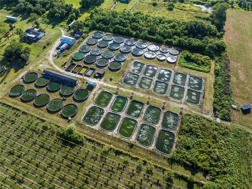Tilapia Fish Farm. This 21-acre property is fully set up and ready for a new owner to start generating income immediately from a well-established, highly profitable, and fully operational business. The property features a 4-bedroom, 2-bathroom single-family home with a complete kitchen, as well as a mobile home included in the sale.

The farm is equipped with advanced, modern infrastructure, including three generators (two 40-watt and one 27-watt), 19 water pumps, three drainage pumps, two golf carts, one tractor, a Bobcat, and a dump trailer. It also includes 70 fish ponds, a warehouse measuring 45D x 30W x 17H, and five water wells to help reduce operating costs. There is additional space available to expand up to 220 ponds.

The business currently maintains strong annual production. Financial information is available upon signing an NDA. The owner is willing to remain on-site for a period of time to train and support the new owners.