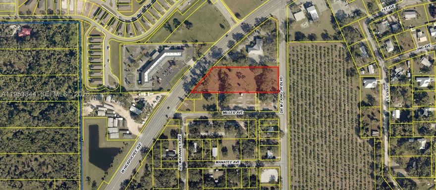 LOCATION, LOCATION, LOCATION!!! Take a look at this PRIME  piece of commercial property located in the RAPIDLY GROWING  city of Labelle. This beautiful property has approximately 275 feet of SR 80 frontage, which is one of the most traveled roads in SWFL. Conveniently located near 2 new residential developments and other new growth in the city makes this the PERFECT LOCATION for your business!! The B-2 zoning permitted uses include and are not limited to healthcare or government offices, family or group care home, amusement facilities, retail sales, convenience store, financial institutions, restaurants, and hotels/motels. City water and sewer are available for an additional connection fee. Take advantage of this great opportunity before it's too late!