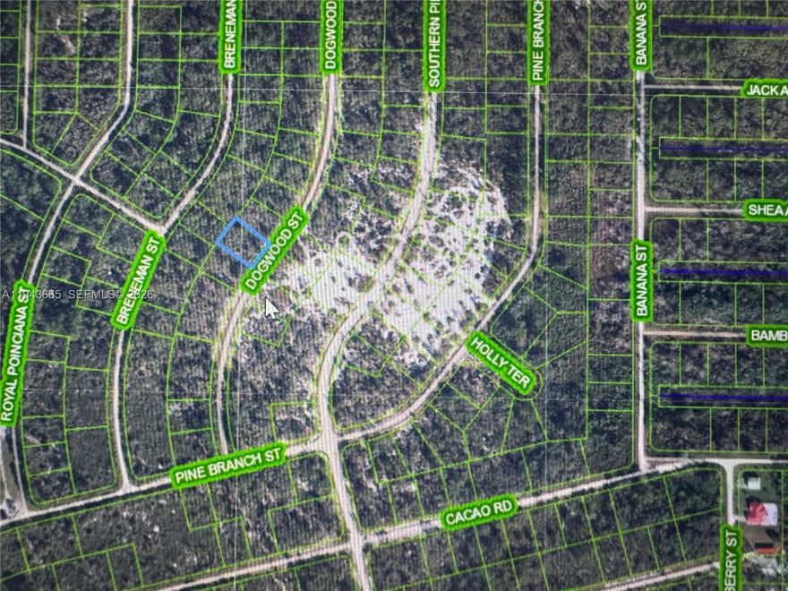 Discover the perfect opportunity to build your Florida retreat on this peaceful parcel located in the heart of Lake Placid. Nestled on a quiet street surrounded by natural beauty, this lot offers the ideal setting for a future home, investment property, or weekend getaway. Enjoy the charm of Lake Placid’s small-town feel while staying close to local lakes, parks, dining, and shopping. Whether you’re looking to create a custom residence or hold land in a growing area, this property delivers excellent potential. Lake Placid is known for its scenic landscapes, outdoor recreation, and welcoming community — a wonderful place to plant roots.
Buyer to verify zoning, land use, and utility availability with Highlands County.