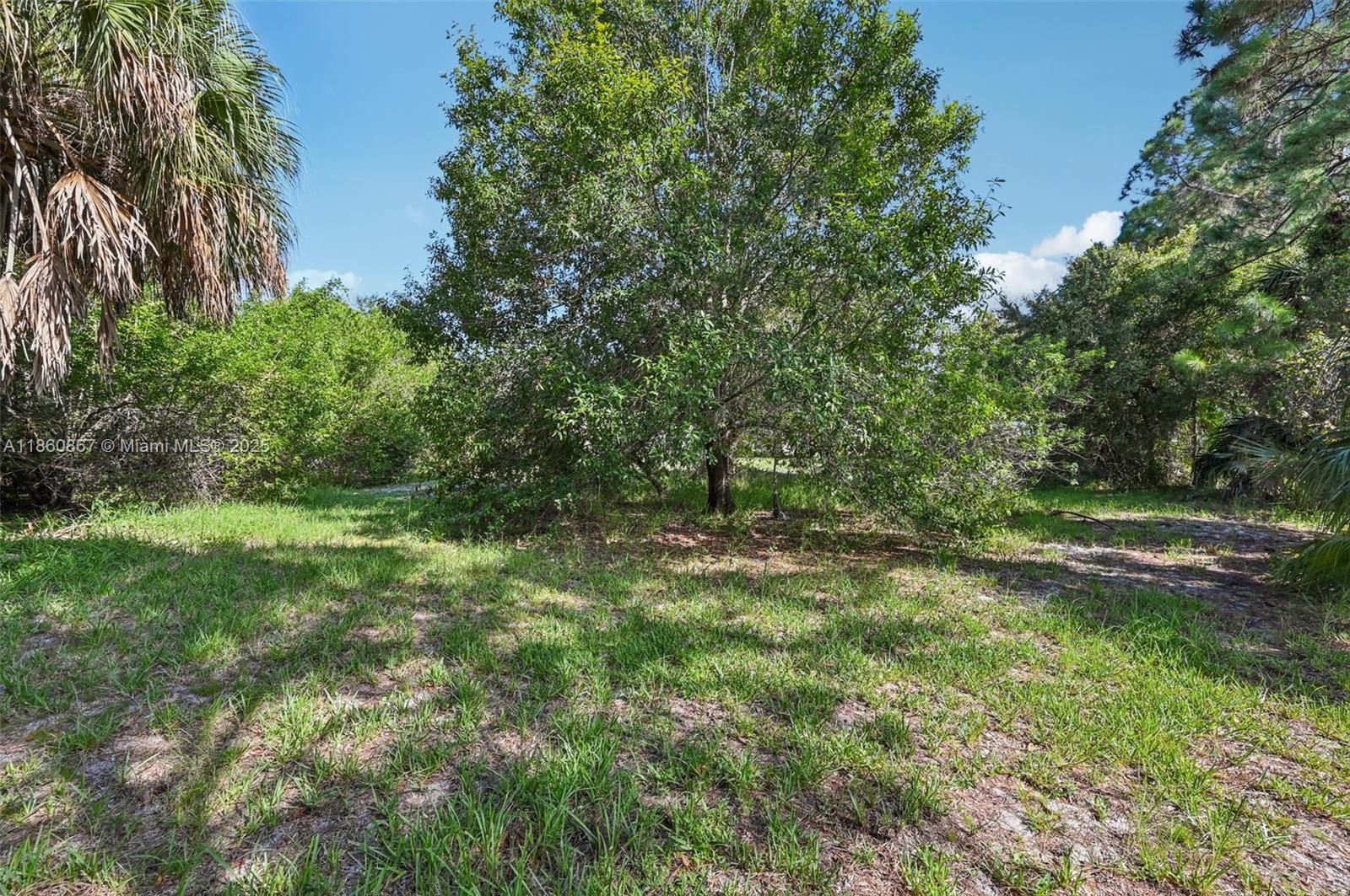 PORT ST LUCIE SECTION 8 - Residential