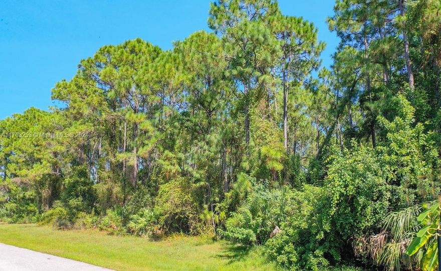 Great opportunity to own this Beautiful Oversized Double Lot perfect for building your dream home in East North Port neighborhood that has yet to be overbuilt. This lot provides privacy as well as convenience to shopping, restaurants, entertainment, medical facilities as well as our famous Southwest Florida Gulf beaches. Situated near the impending North Port I-75 Interstate Exchange. Once this Interstate Exchange is completed access to I-75 will be quick and easy, making those trips to Sarasota or Fort Myers even faster.