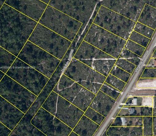 Build your dream home on this spacious 1.061-acre lot in Highlands Park Estates, Lake Placid. Nestled in a quiet neighborhood with paved roads and nearby utilities, this residential lot offers easy access to beautiful Lake Istokpoga, parks, and local amenities. No HOA and no time limit to build—ideal for investment or future home plans.